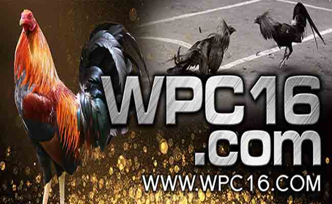 Wpc16 Com 2022 Wpc16 Dashboard Login And Wpc16 Registration